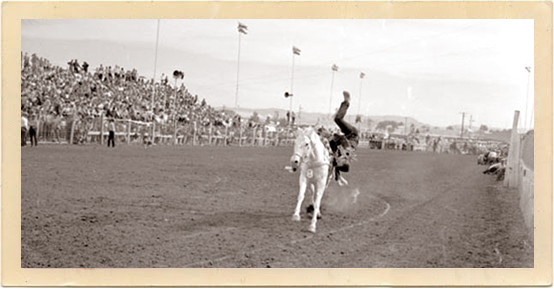 The rodeo in action at the Arizona State Fairgrounds in 1956; this was the setting for several scenes in the hit movie, “Bus Stop,” starring Marilyn Monroe and Don Murray.
